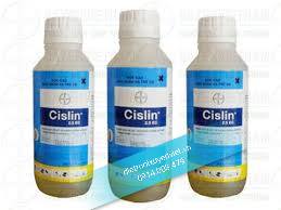 Diệt mối tận gốc theo phương pháp nào